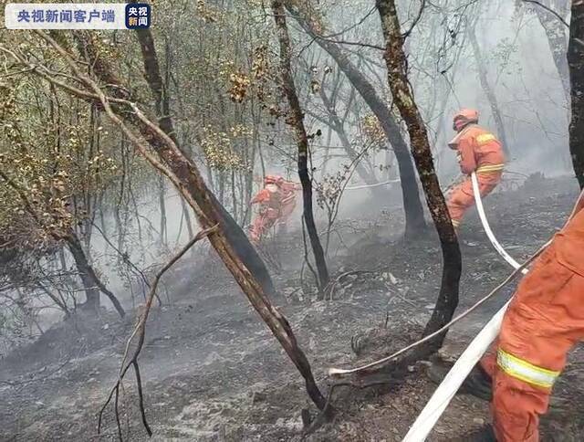 四川甘孜州九龙县森林火情：火场已得到全面控制 仅有零星烟点