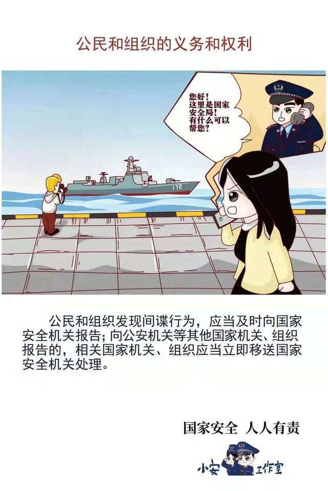 坚持总体国家安全观，着力防范化解重大风险