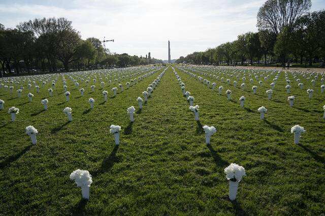 全球连线｜这四万朵白花，揭露了美国难堪的一面