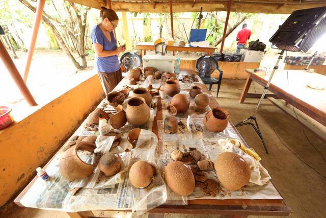 古陶器揭示西非原住民3500年前猎取野蜂蜜的第一个证据