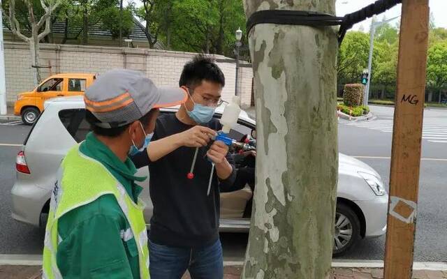 上海果毛飞絮还将持续2周，敏感人群做到“一穿二戴”