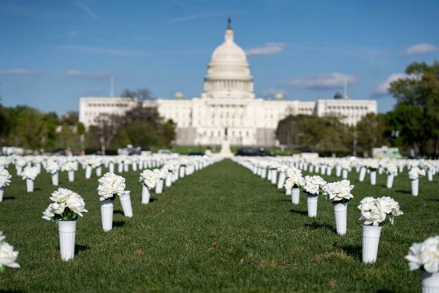 这是4月13日拍摄的美国华盛顿国家广场草坪上摆放的白色绢花。