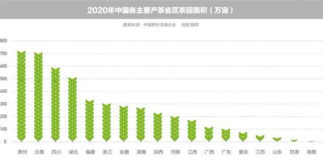 “一两黄金一两茶”，谁炮制了几十万元1斤的天价茶？