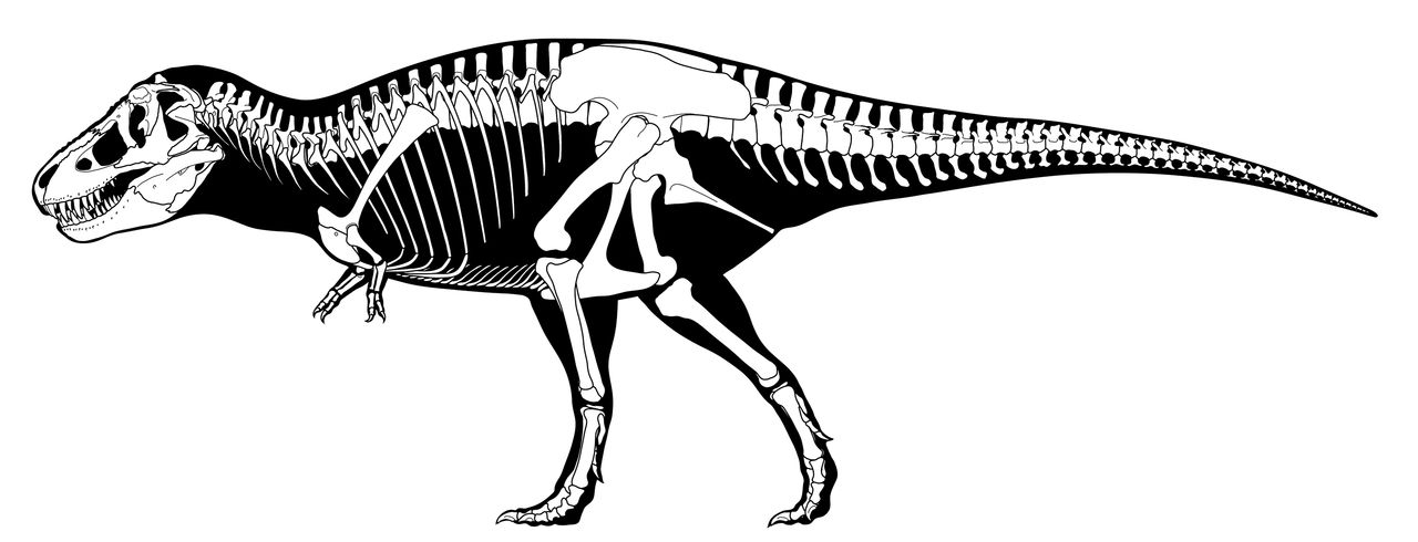 白垩纪时期的北美洲大约每38.6平方英里就有一只霸王龙