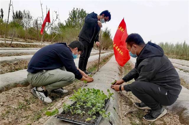 莎车县纪委监委将“党史学习教育”课堂设在田间地头，组织纪检监察干部讲解党的惠民政策，教育引导群众感党恩、听党话、跟党走。（朱萌摄）