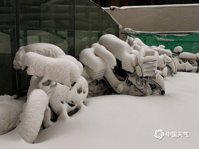 △4月15日至16日，内蒙古呼伦贝尔市遭遇强降雪。（图徐玉强）