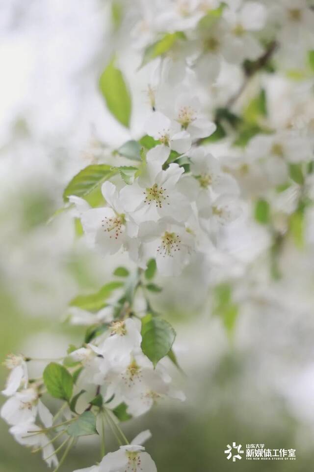 节气山大  谷雨至，春雷响，人间四月天