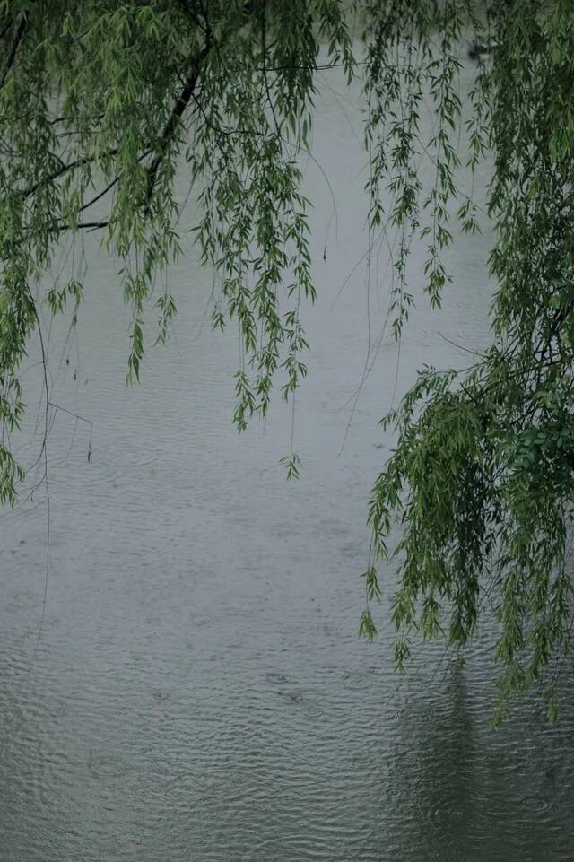 四月微风初乍起，和我一起“走谷雨”