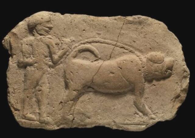 考古研究发现，苏美尔人在公元前3300年左右发明了狗牵引绳和项圈。（美国《新闻周刊》网站）