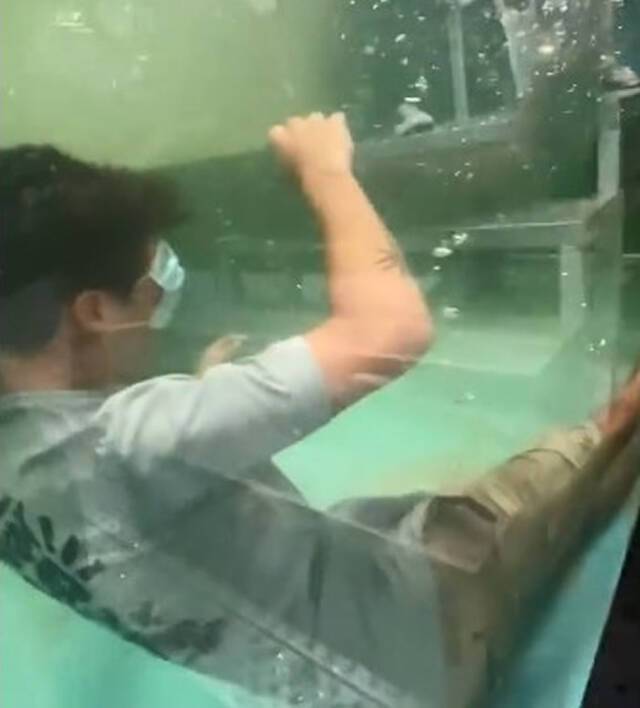 网红PaulCuffaro到水族馆用嘴喂巨骨舌鱼瞬间被撞头掉进缸里沉没