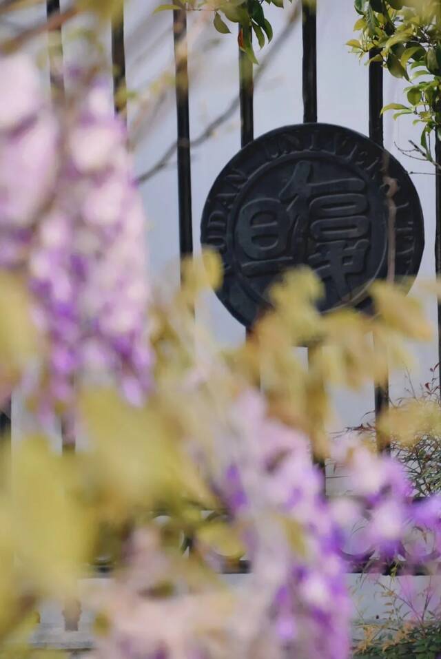 谷雨无雨，诗意化霖，送你这些关于春天的诗