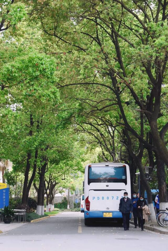 谷雨无雨，诗意化霖，送你这些关于春天的诗