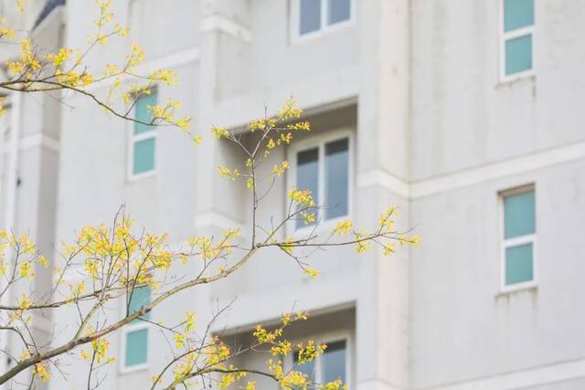 谷雨无雨，诗意化霖，送你这些关于春天的诗