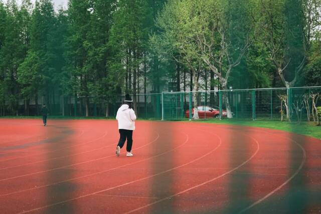 谷雨无雨，诗意化霖，送你这些关于春天的诗