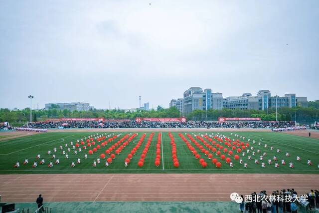 直击现场！西农2021年田径运动会暨第三届教学文化节开幕！