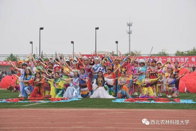 直击现场！西农2021年田径运动会暨第三届教学文化节开幕！