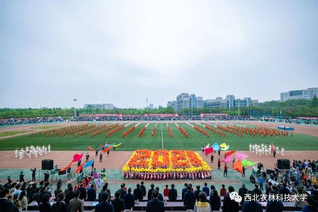 直击现场！西农2021年田径运动会暨第三届教学文化节开幕！