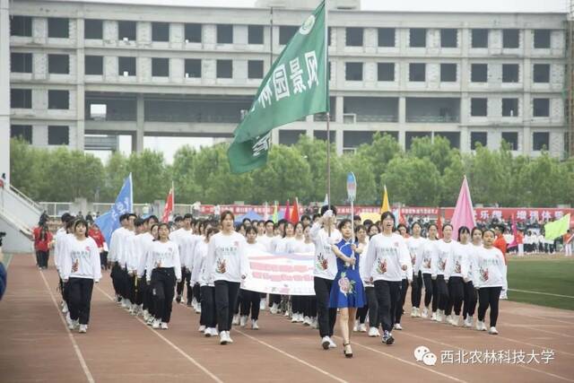 直击现场！西农2021年田径运动会暨第三届教学文化节开幕！