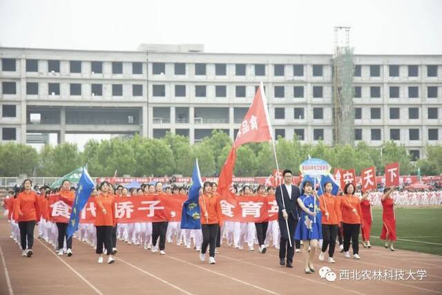 直击现场！西农2021年田径运动会暨第三届教学文化节开幕！