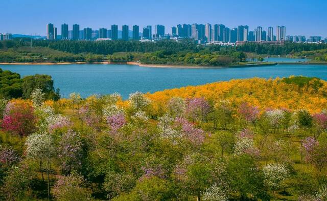 全面启动！松山湖科学城！