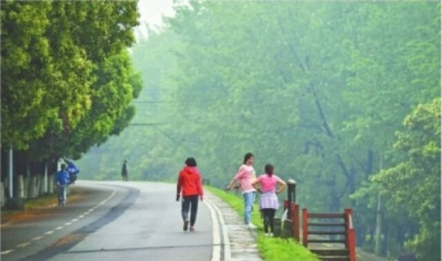 雨水停歇 绿道踏青