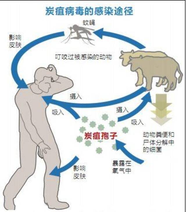 北京疾控提醒：五一出游，人与动物保持距离