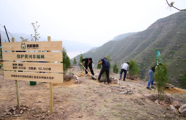 各地网友代表亲手种下“保护黄河幸福林”