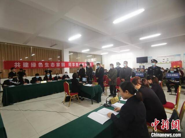 为吃天鹅肉竟开挖掘机协助猎捕 5名男子被判刑