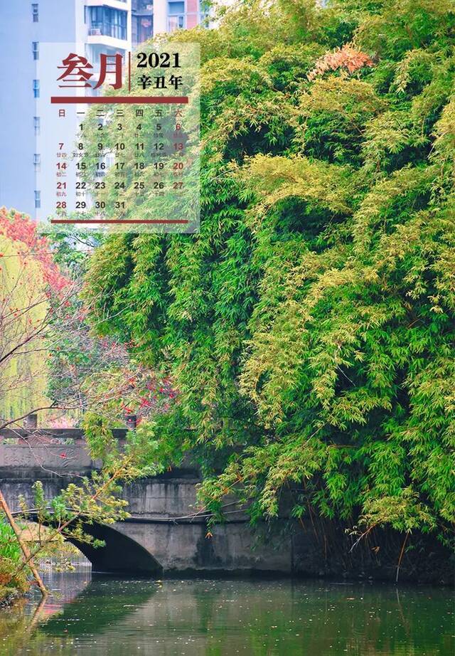 年历美景图，留住好春光！