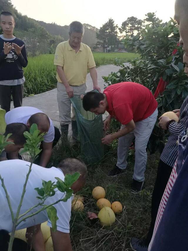 在村里，自闭症孩子经常能获得参与简单农业劳作的机会。