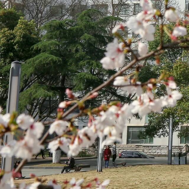 为华师，“拼”一把！