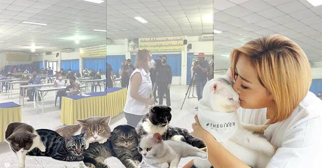 泰国禁毒委为毒贩宠物猫找到新主人