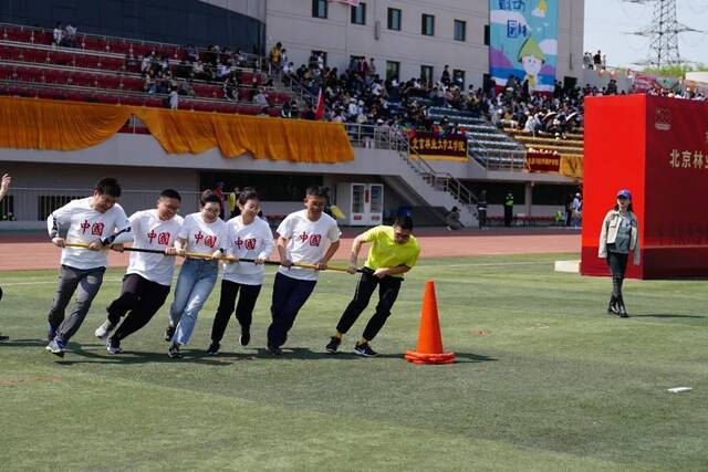 多图！精彩回顾！北京林业大学2021年春季运动会暨学生体育文化节开幕