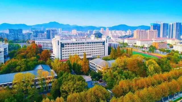 考场、路线、注意事项…学姐带你探营浙江农林大学“三位一体”综合评价招生考试