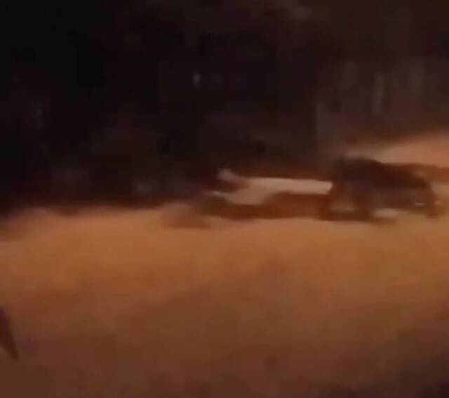 中美洲国家哥斯达黎加民居监控视频拍到神秘4腿怪在街上诡异爬行附近狗狗狂吠