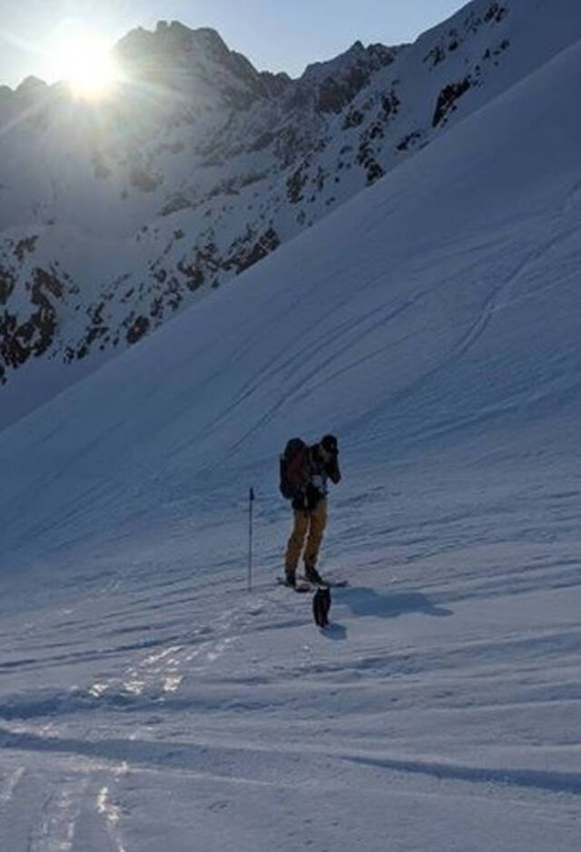 瑞士登山客爬布里斯滕山途中遇见迷路猫咪一路尾随登顶