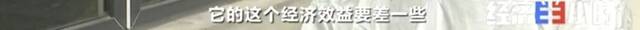 8个品种本土种猪灭绝！我们餐桌多为“外来猪”？！本土“二师兄”去哪了？