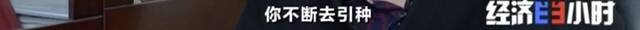 8个品种本土种猪灭绝！我们餐桌多为“外来猪”？！本土“二师兄”去哪了？