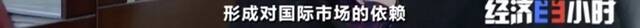 8个品种本土种猪灭绝！我们餐桌多为“外来猪”？！本土“二师兄”去哪了？