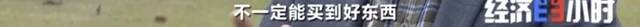 8个品种本土种猪灭绝！我们餐桌多为“外来猪”？！本土“二师兄”去哪了？