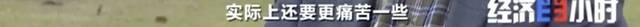 8个品种本土种猪灭绝！我们餐桌多为“外来猪”？！本土“二师兄”去哪了？