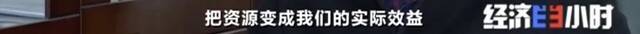 8个品种本土种猪灭绝！我们餐桌多为“外来猪”？！本土“二师兄”去哪了？