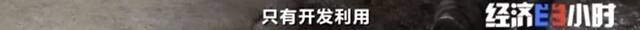 8个品种本土种猪灭绝！我们餐桌多为“外来猪”？！本土“二师兄”去哪了？