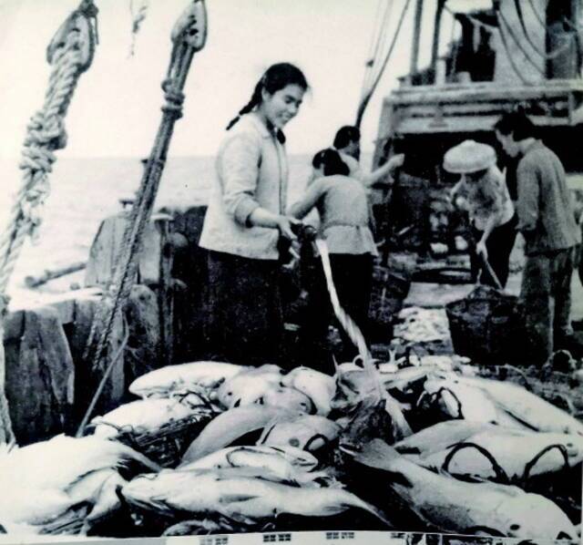 曾任外沙妇女号副轮机长的黎秀英（左一）在船上洗鱼（资料图翻拍）。记者黄耀滕摄
