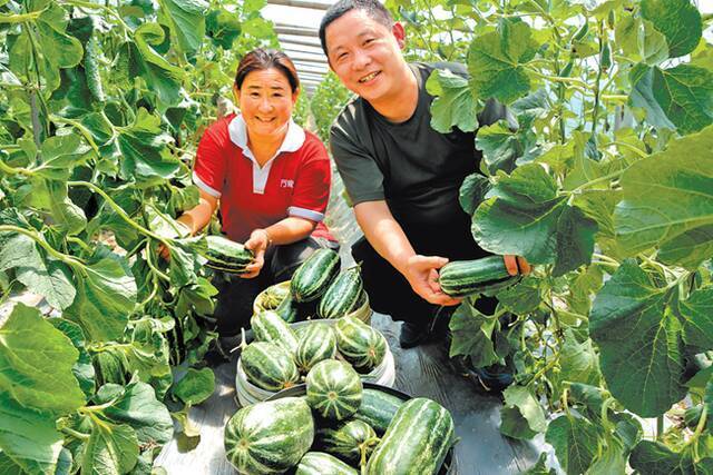 大力实施乡村建设行动 让乡村成为宜居宜业美好家园