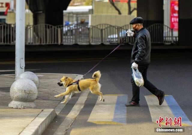 资料图中新社记者刘新摄