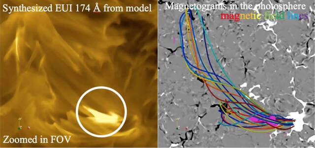 左图是模拟的日冕图像，圆圈指示了一个类似“篝火”的事件。右图背景是太阳表面的磁场，粉红色代表左图展示的“篝火”位置，不同颜色的曲线表示其附近的磁力线（Yajie