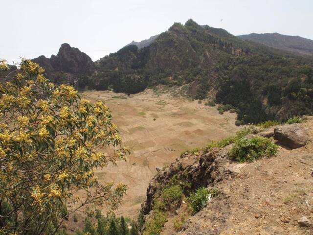 研究表明在人类定居后一个生态系统的植物生命变化率明显增加