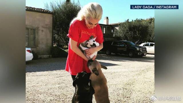 Lady Gaga和爱犬