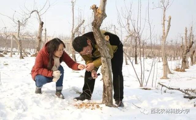 祝贺！黄丽丽教授荣获全国五一劳动奖章！